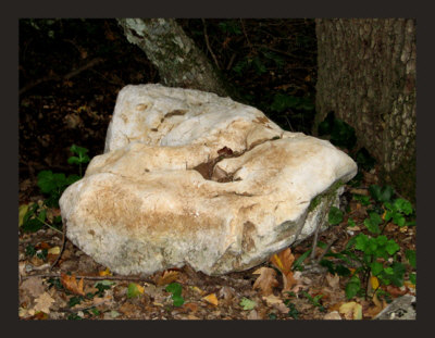 skull-shaped rock